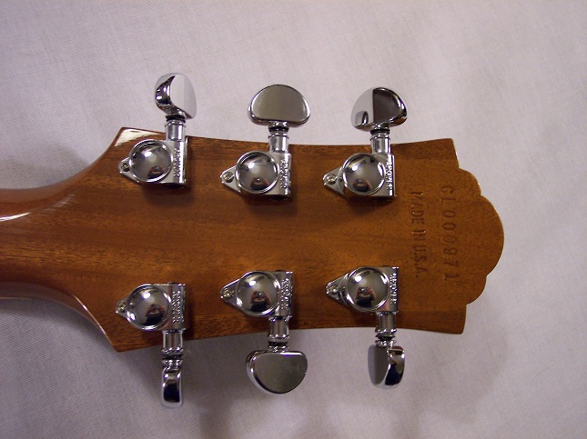 Bluesbird Picture 4